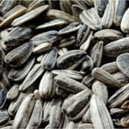 Trading Long Group - Sunflower Seeds