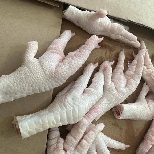 Trading Long Group - Chicken Feet & Paws