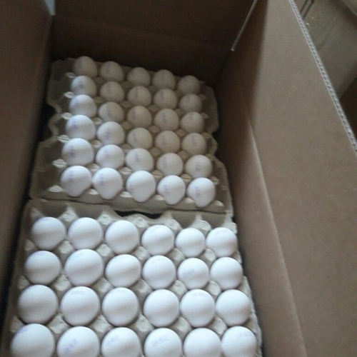 Trading Long Group - Chicken Eggs