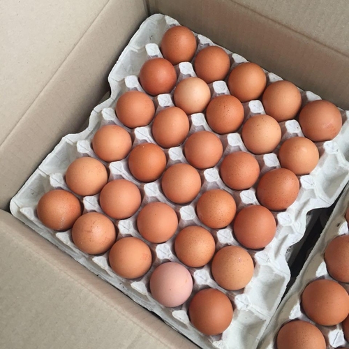 Trading Long Group - Chicken Eggs