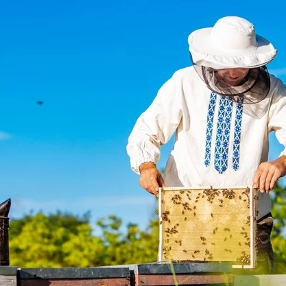 Trading Long Group - Honey