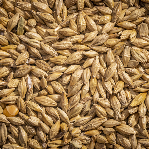 Trading Long Group - BARLEY