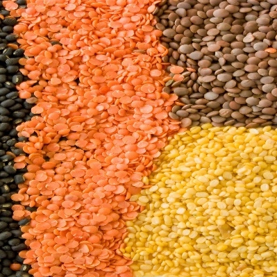 Trading Long Group - Lentil