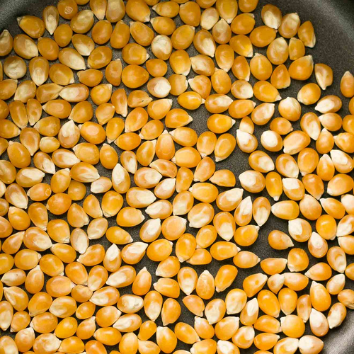 Trading Long Group - Popcorn Kernels