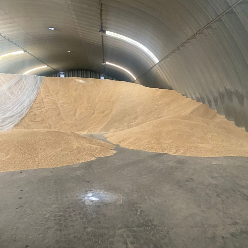 Trading Long Group - YELLOW CORN